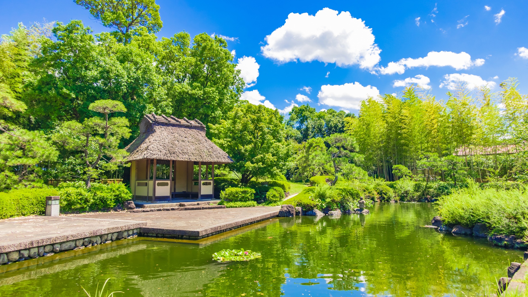 天然温泉　安祥の湯　スーパーホテル安城駅前 - 写真 76