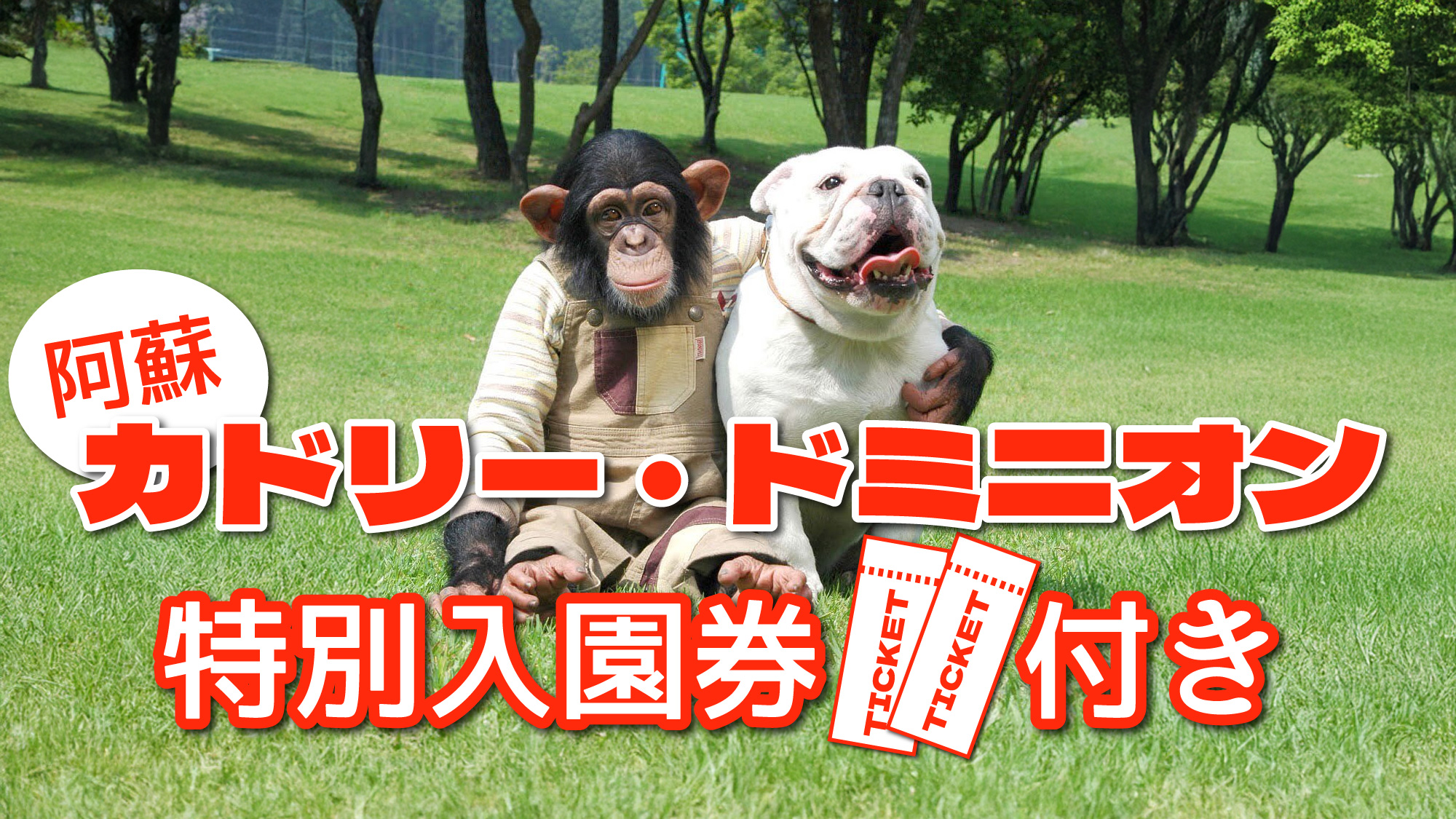 カドリー・ドミニオンの特別入園引換券がセットになったお得な宿泊プラン