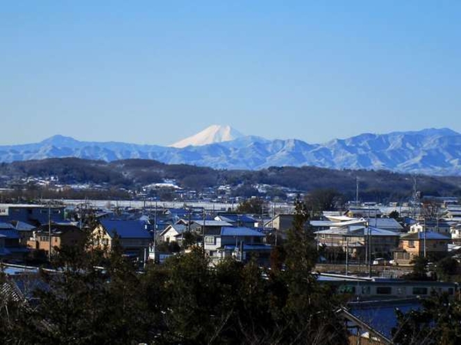 客室からの眺め