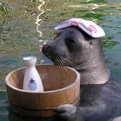 箱根園水族館