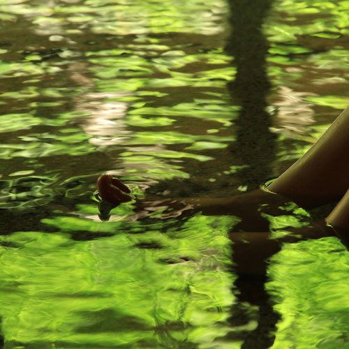 ~ Watariyu ~ Fresh green reflected on the surface of the hot water