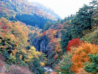 紅葉川渓谷