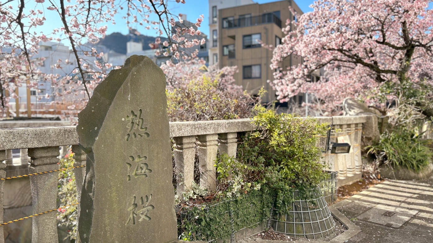 【期間限定】早咲きの都・熱海桜＆梅を楽しめるご宿泊プラン