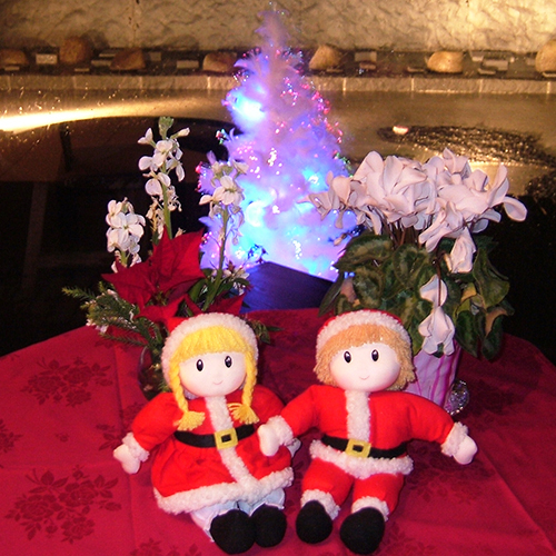 【12月9日 限定】華夕美日本海★クリスマスパーティー★