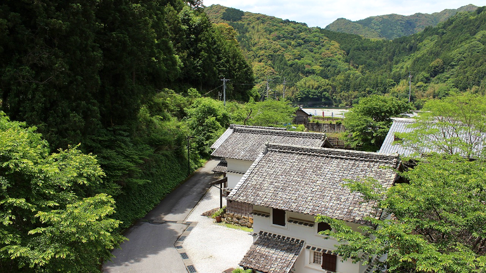 客室からの眺望