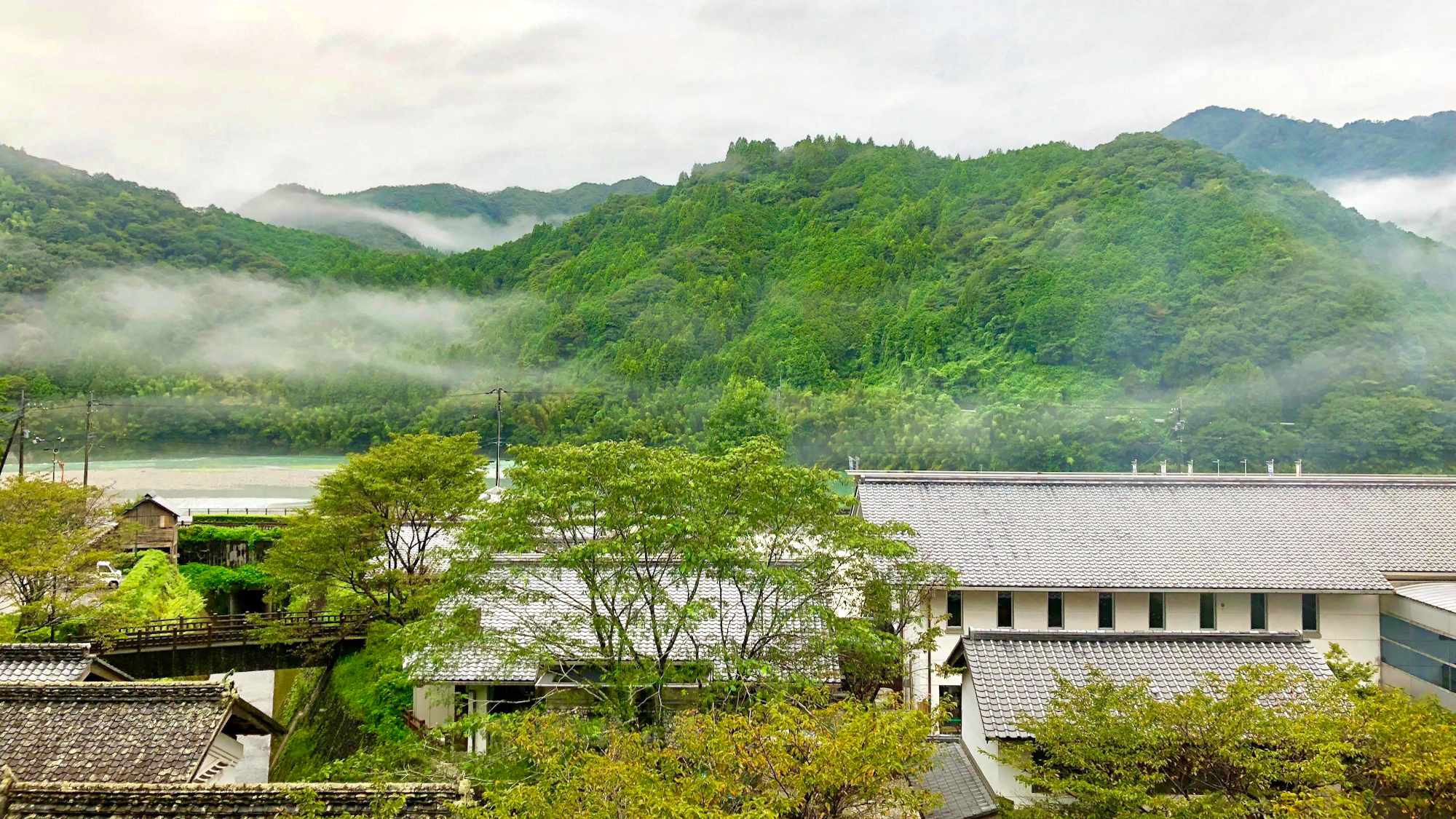 客室からの眺望