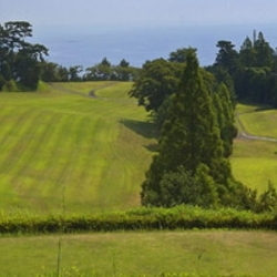 【滞在中何度でもプレーOK】ゴルフ三昧ステイ×フリーフロー付｜1泊3食