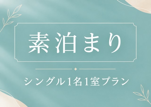 【秋SALE】シングル素泊りプラン★美栄橋駅から徒歩約5〜6分！24時以降もチェックイン可能！