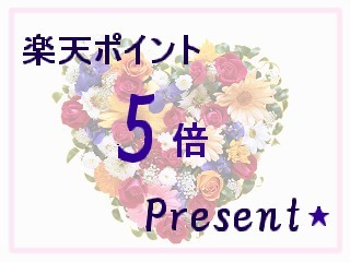 ♪BBHグループ150店舗達成記念♪【当日限定ポイント5倍プラン】♪楽天ポイント5倍プレゼント♪