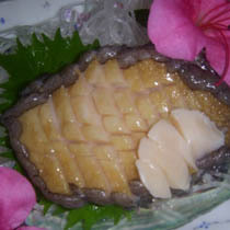 Abalone 2