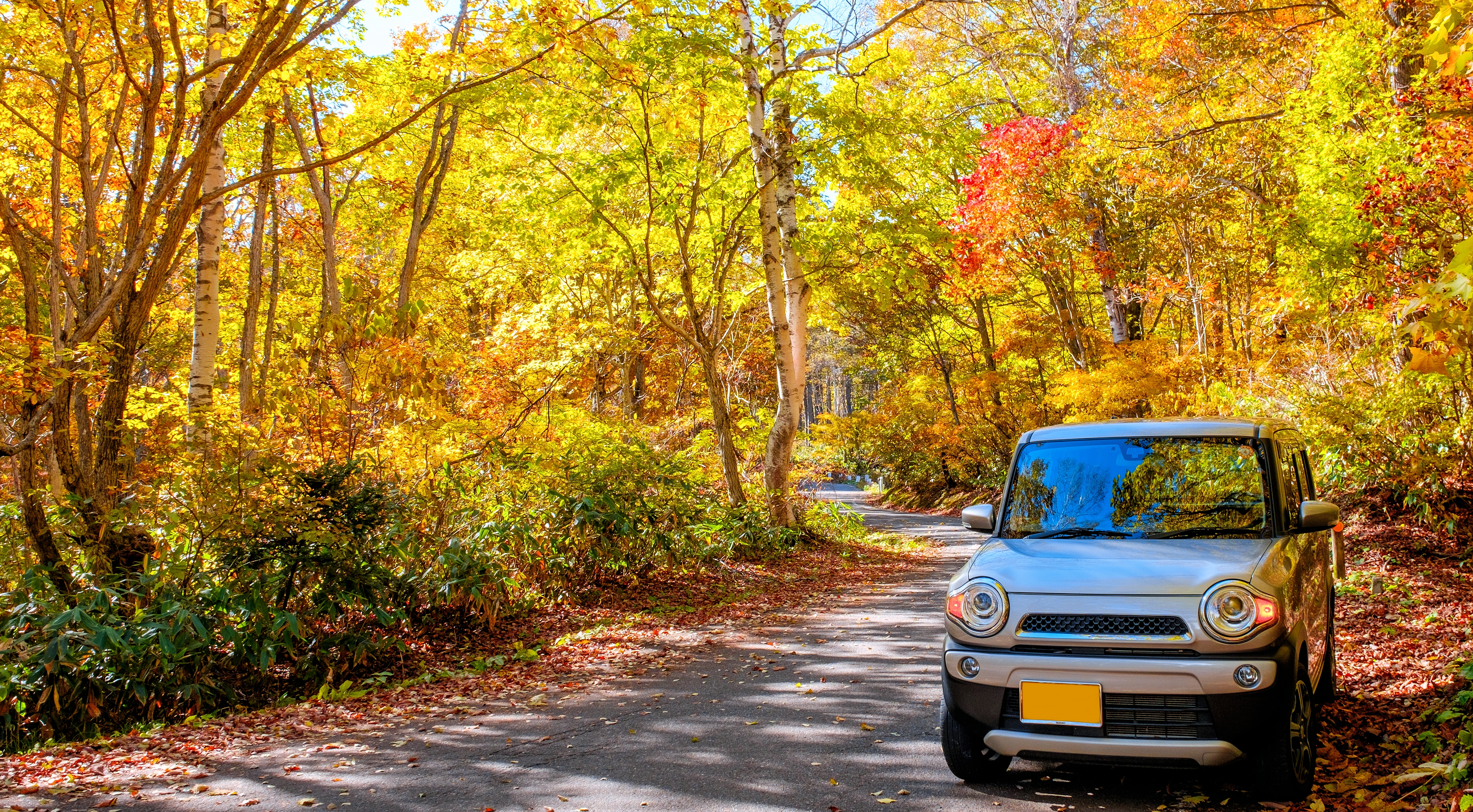 ■その他■周辺観光