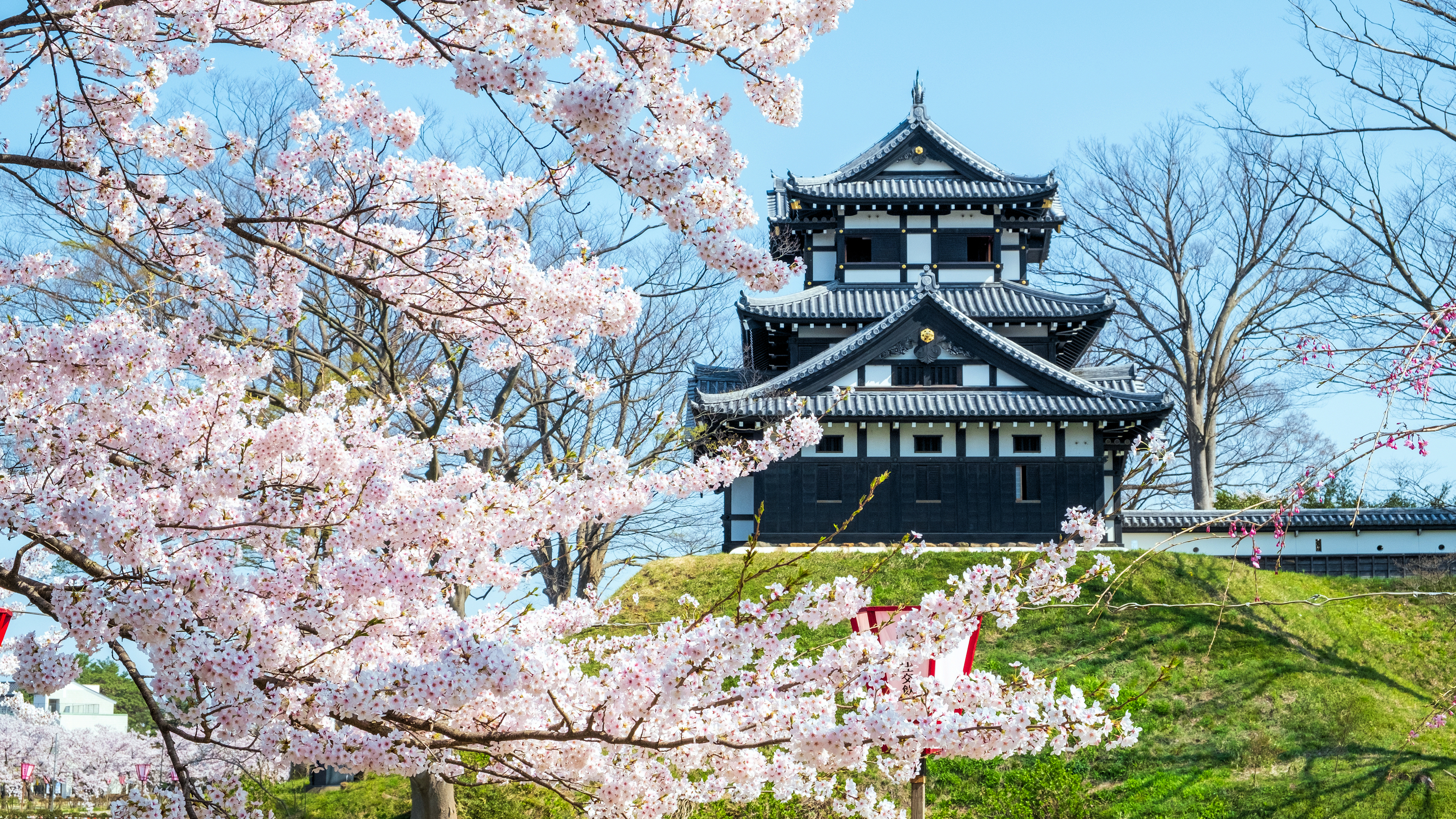 【周辺観光：春】高田城観桜会