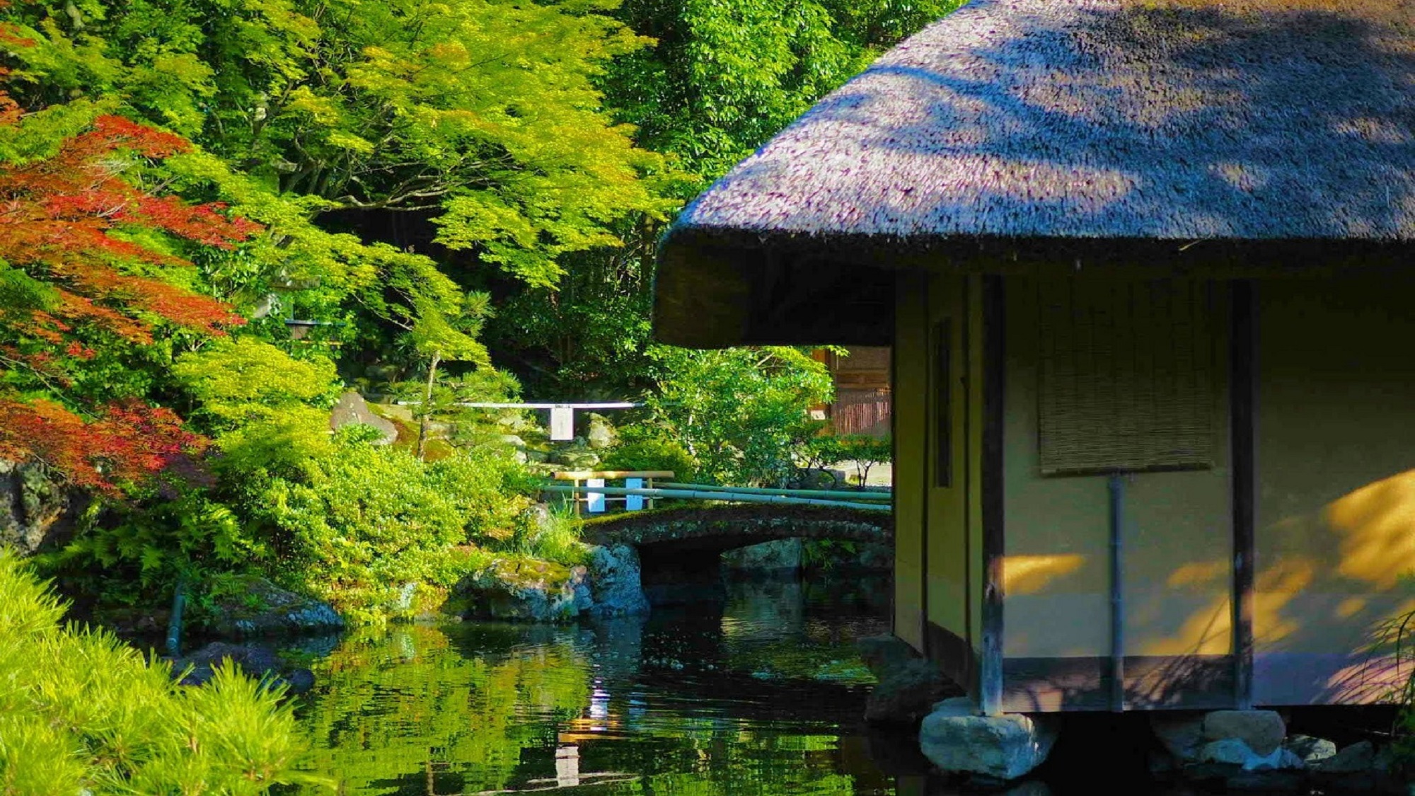 東大寺