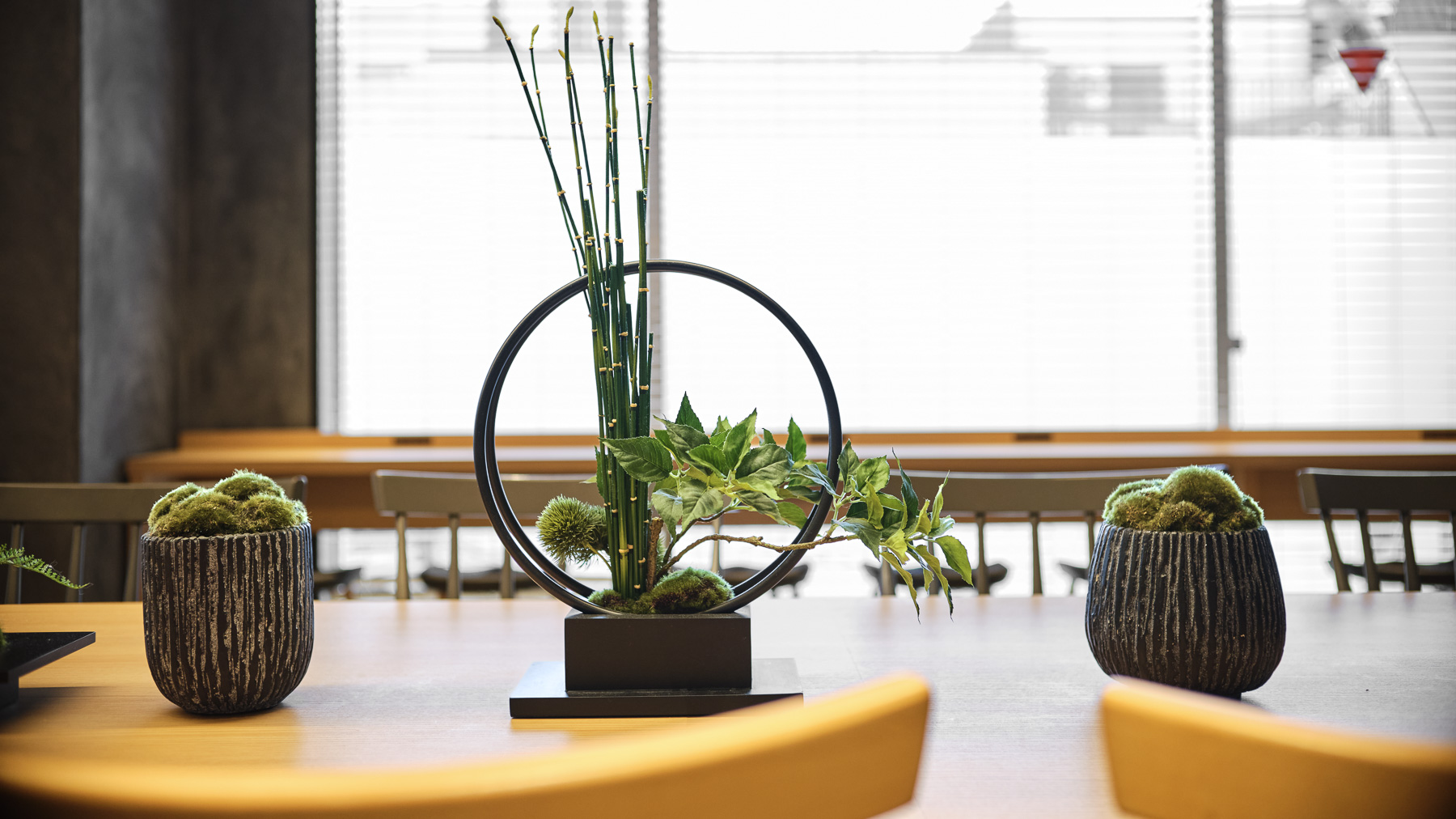 苔のやさしい緑が、和の落ち着きを感じさせます