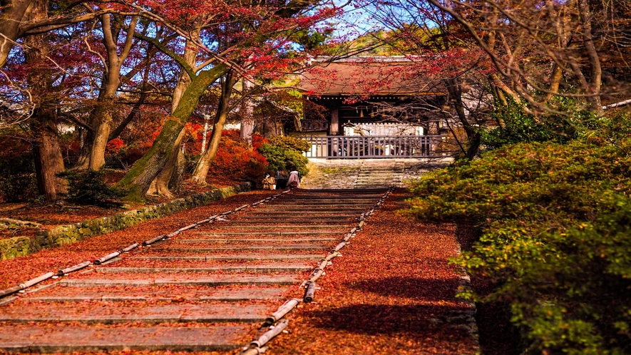 毘沙門堂の紅葉