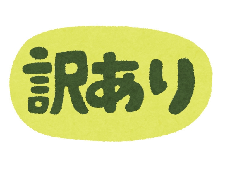 【当日限定！訳ありプラン】プラン内容をご確認の上ご予約下さい●素泊まり●
