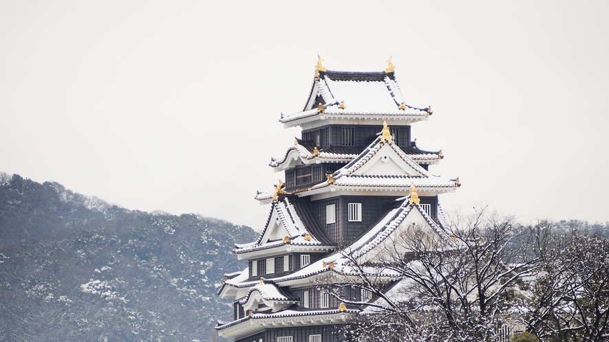 岡山城天守閣　雪景色2