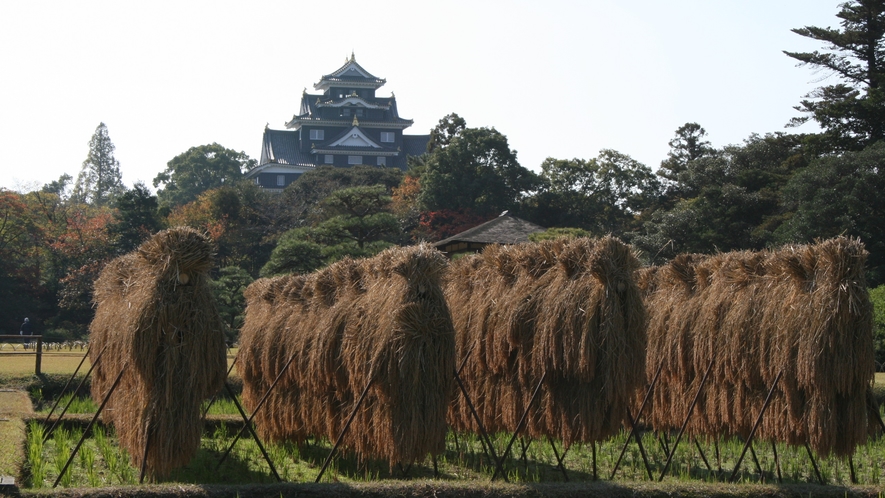 岡山城天守閣　秋1