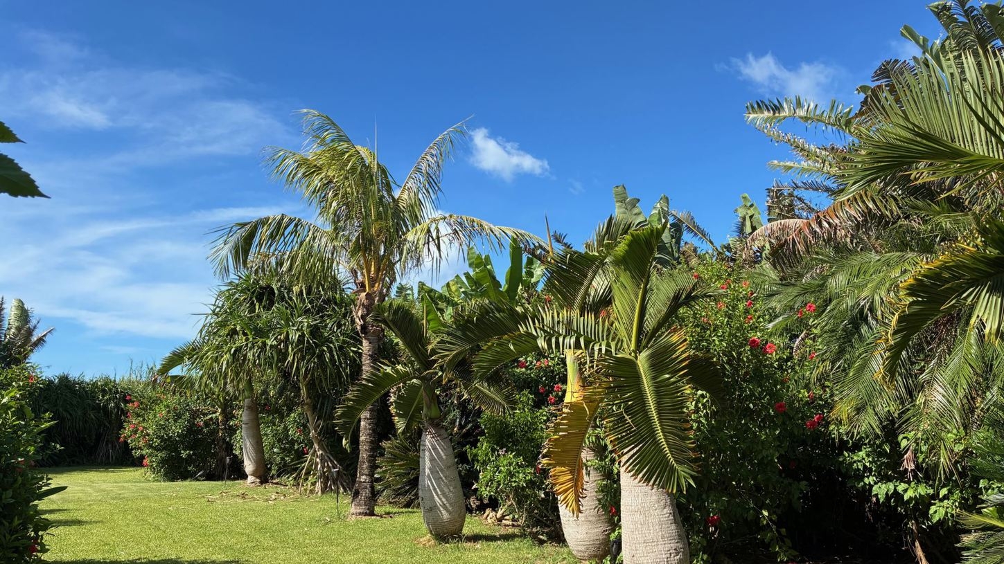 【平日限定】20％OFF！ぱいかじ（南風）を感じてゆっくり流れる時間を過ごす休日≪琉球朝食付≫