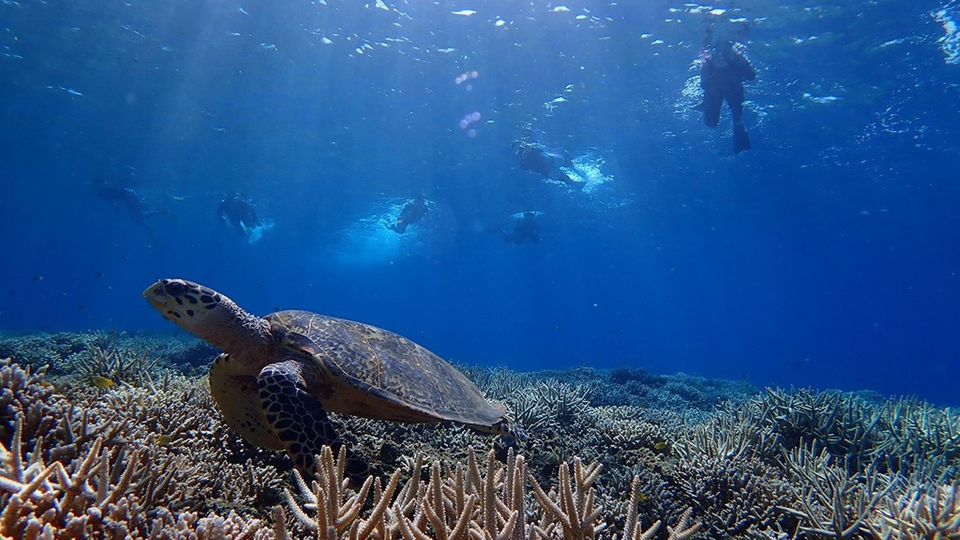 【2泊以上】連泊で5％OFF！ゆったり沖縄時間をお得にステイ（朝食付）＜開業20周年＞