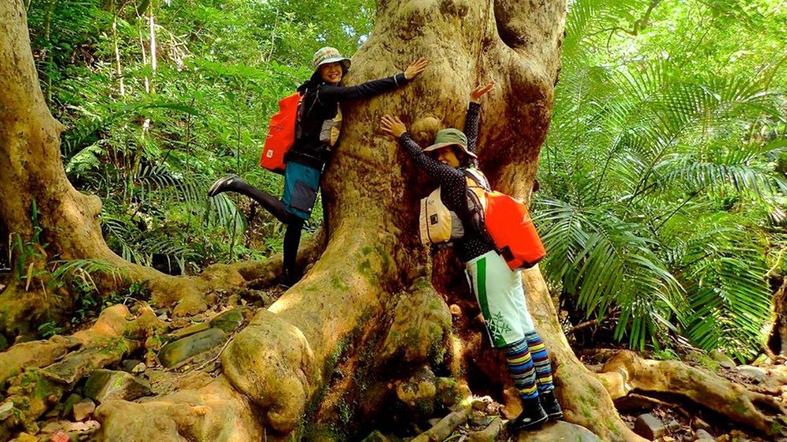 【3名様限定】1名様あたり10％OFF-大自然の見どころ満載！-星砂の浜まで徒歩5分【開業20周年】