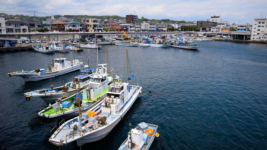 **【小田原漁港】周辺にはアジなどの新鮮な海鮮が食べられる飲食店や土産物店が軒を連ねています。
