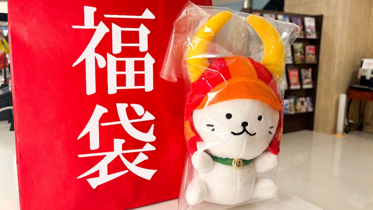 ☆ひこにゃんルームへようこそ☆〜オリジナルグッズ特典付き〜(食事なし）
