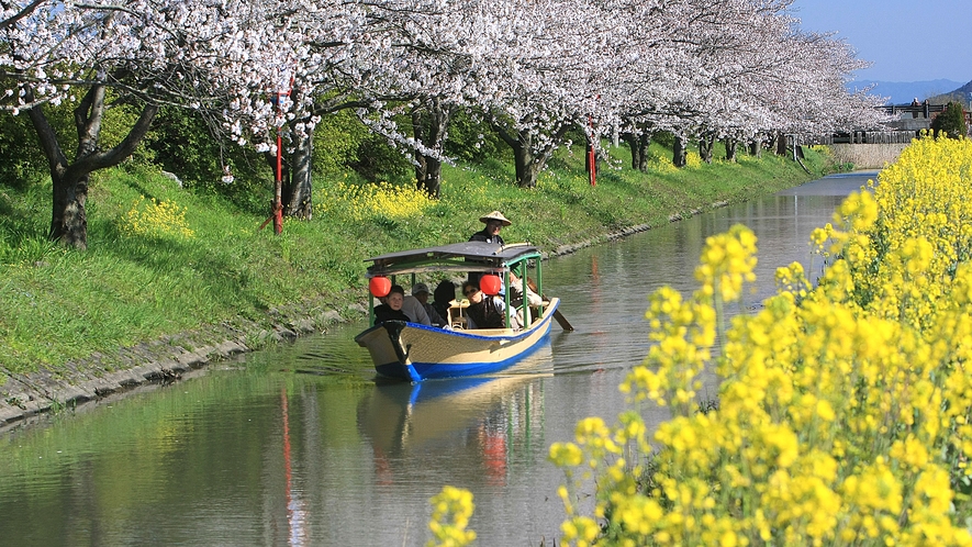 琵琶湖八景　”春色　安土八幡の水郷”