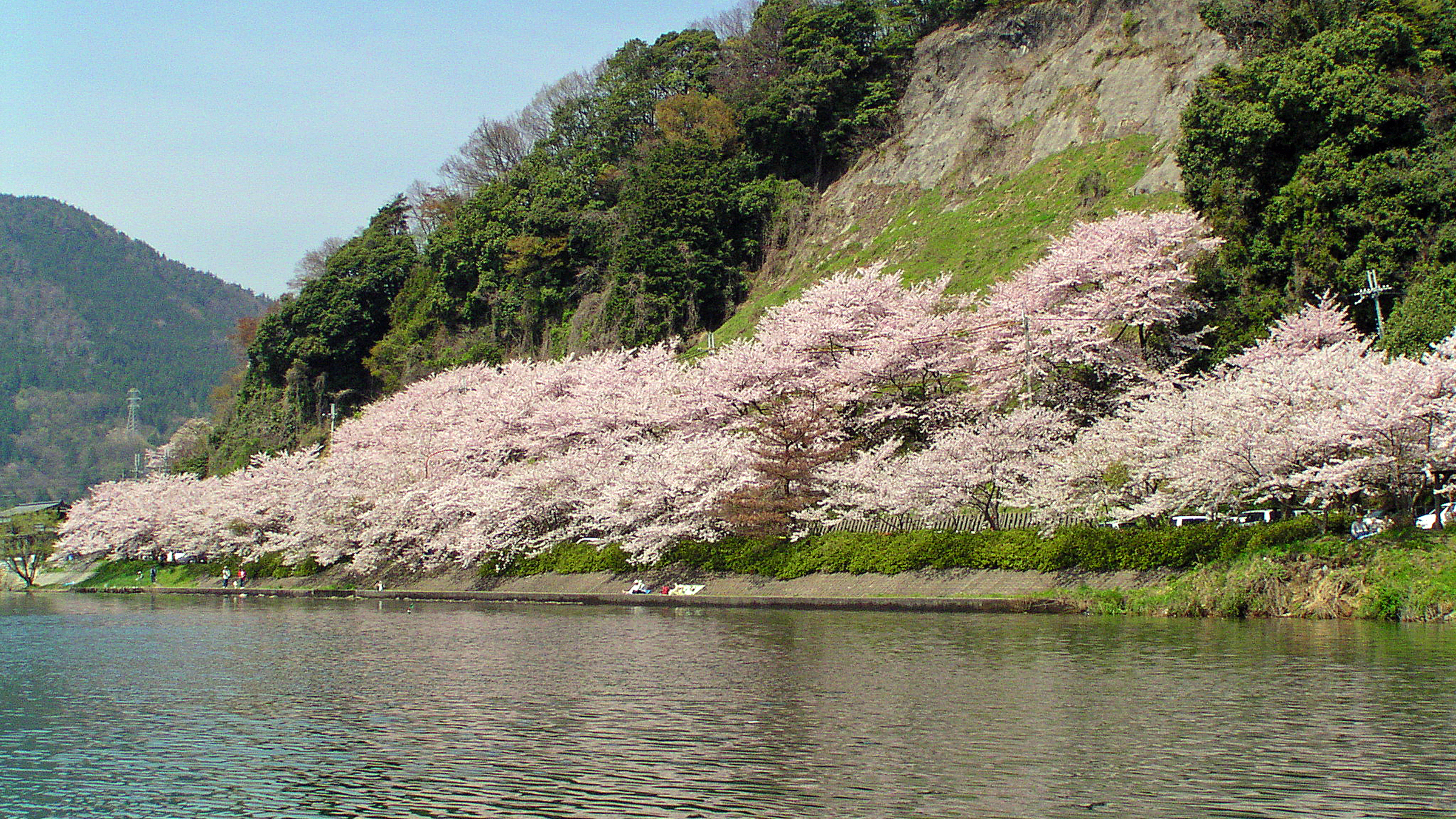 琵琶湖八景　”暁霧　海津大崎の岩礁”