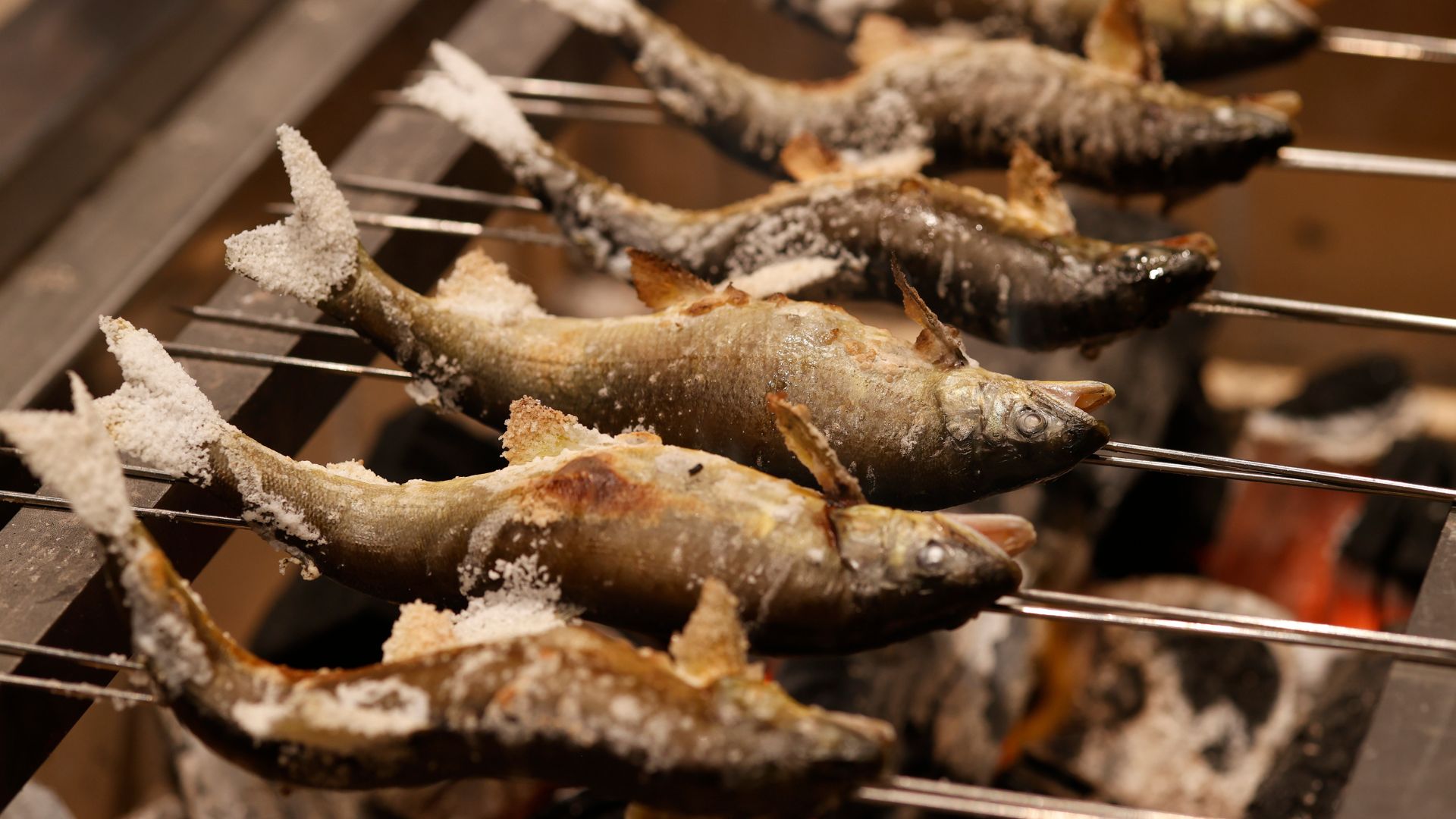 洗練された和モダン空間で味わう、創作和食の新スタイル｜日本料理「こころぎ」