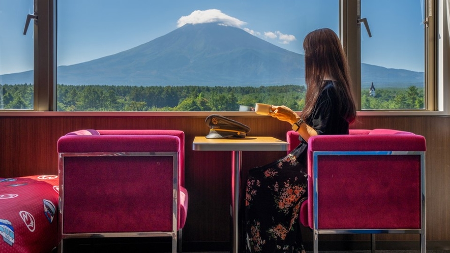 富士山の絶景を満喫できる一人がけソファの張地にも、本物の「モケット」を使用。※新品のモケットを使用し