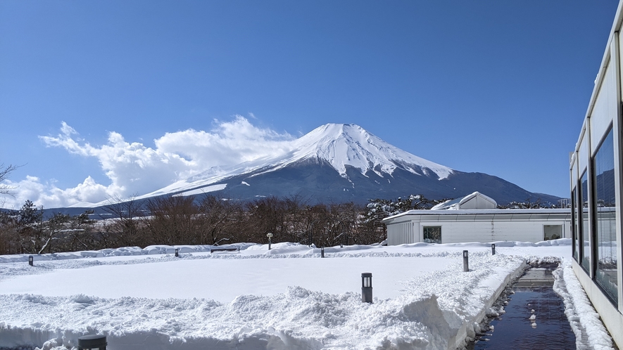 中庭からの富士山