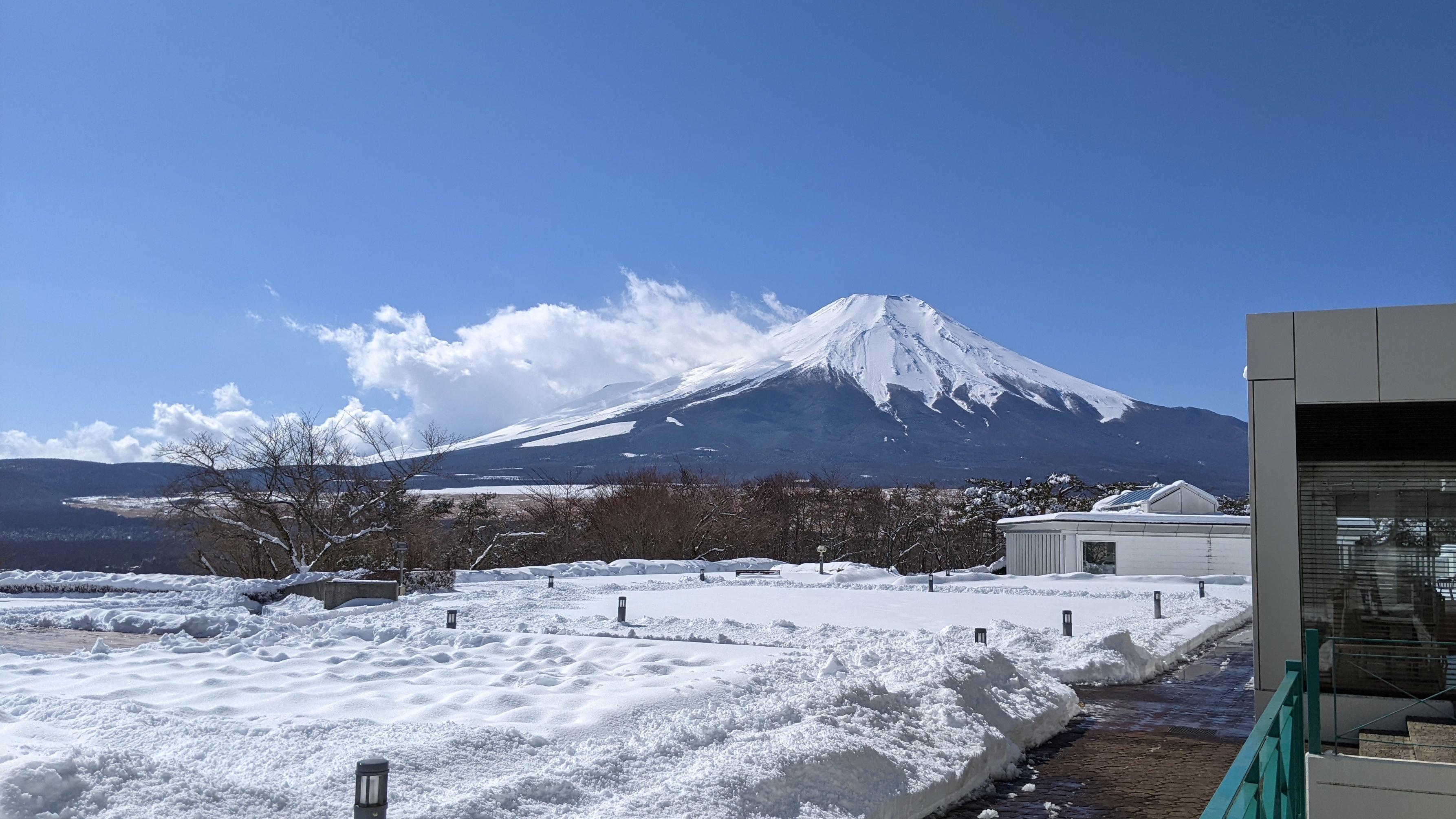 中庭からの富士山