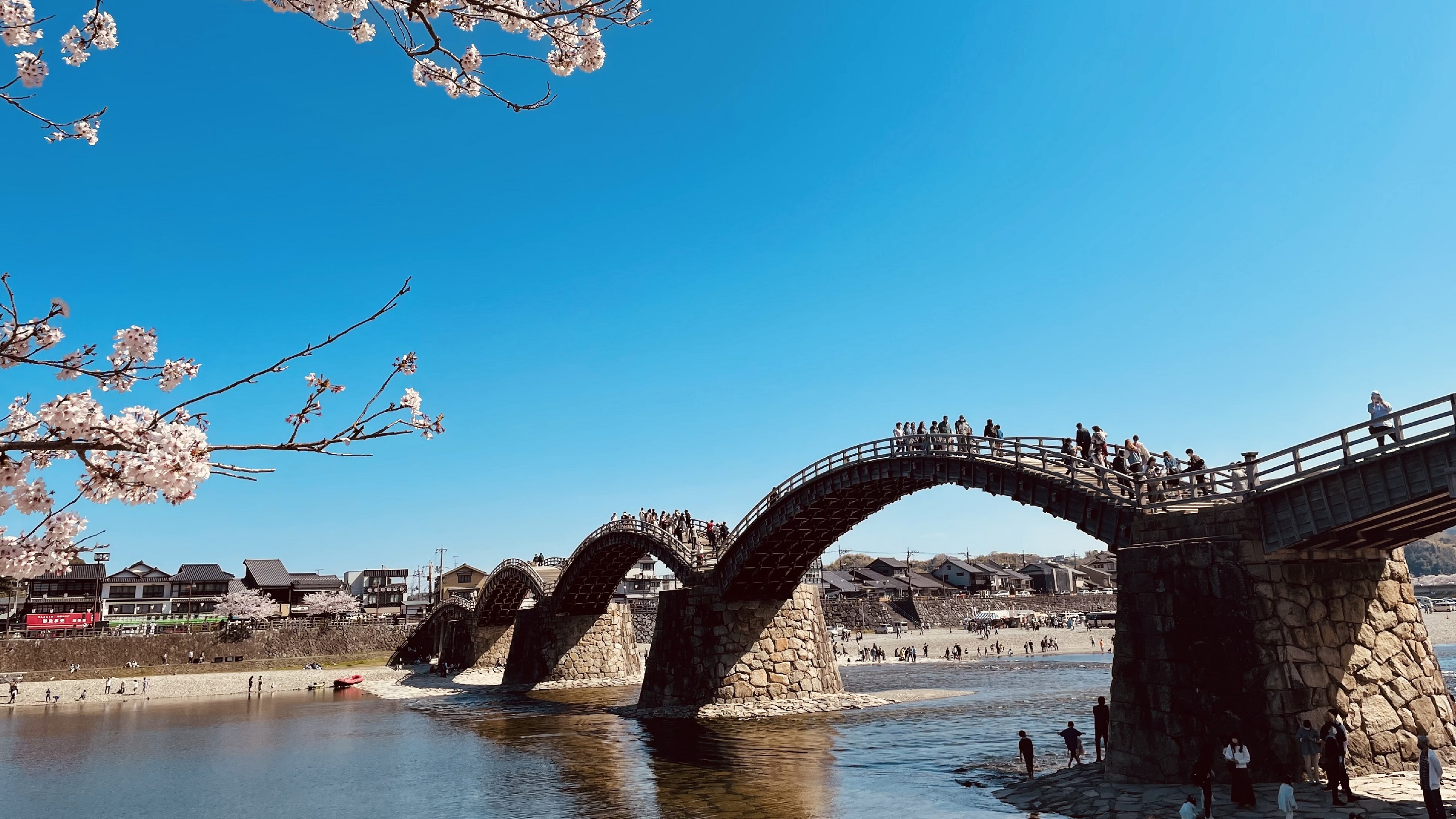 錦帯橋（桜の季節） 