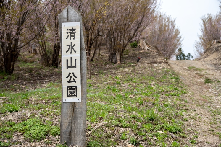 小野川温泉が一望できる「清水山公園」