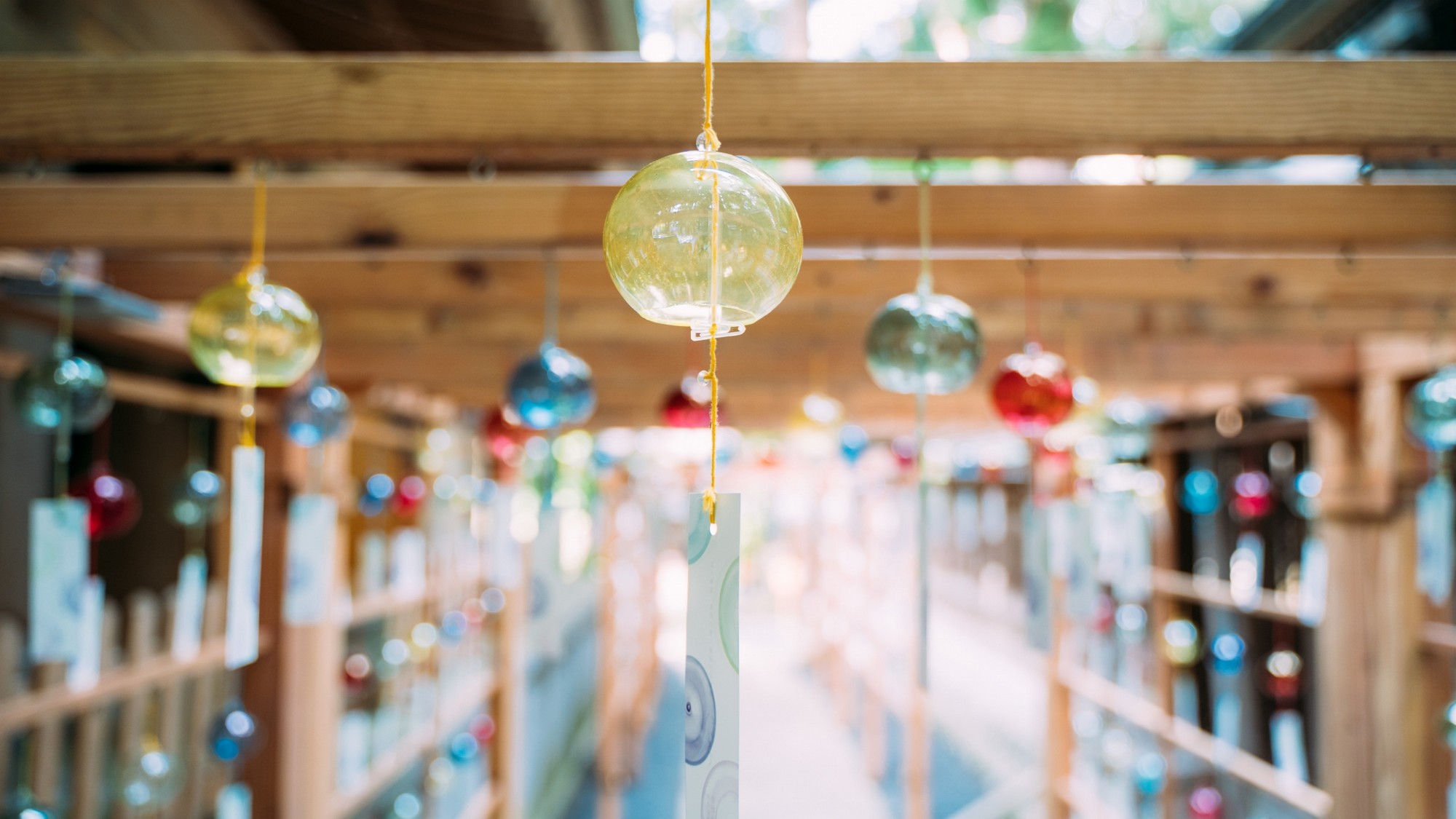 【夏の熊野大社】風鈴響く縁結び