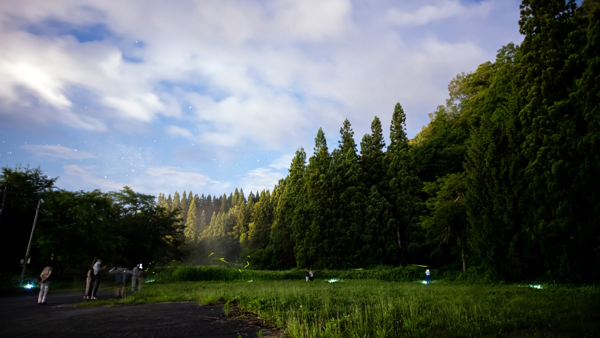 【小野川温泉の蛍】見頃は6月中旬～7月下旬