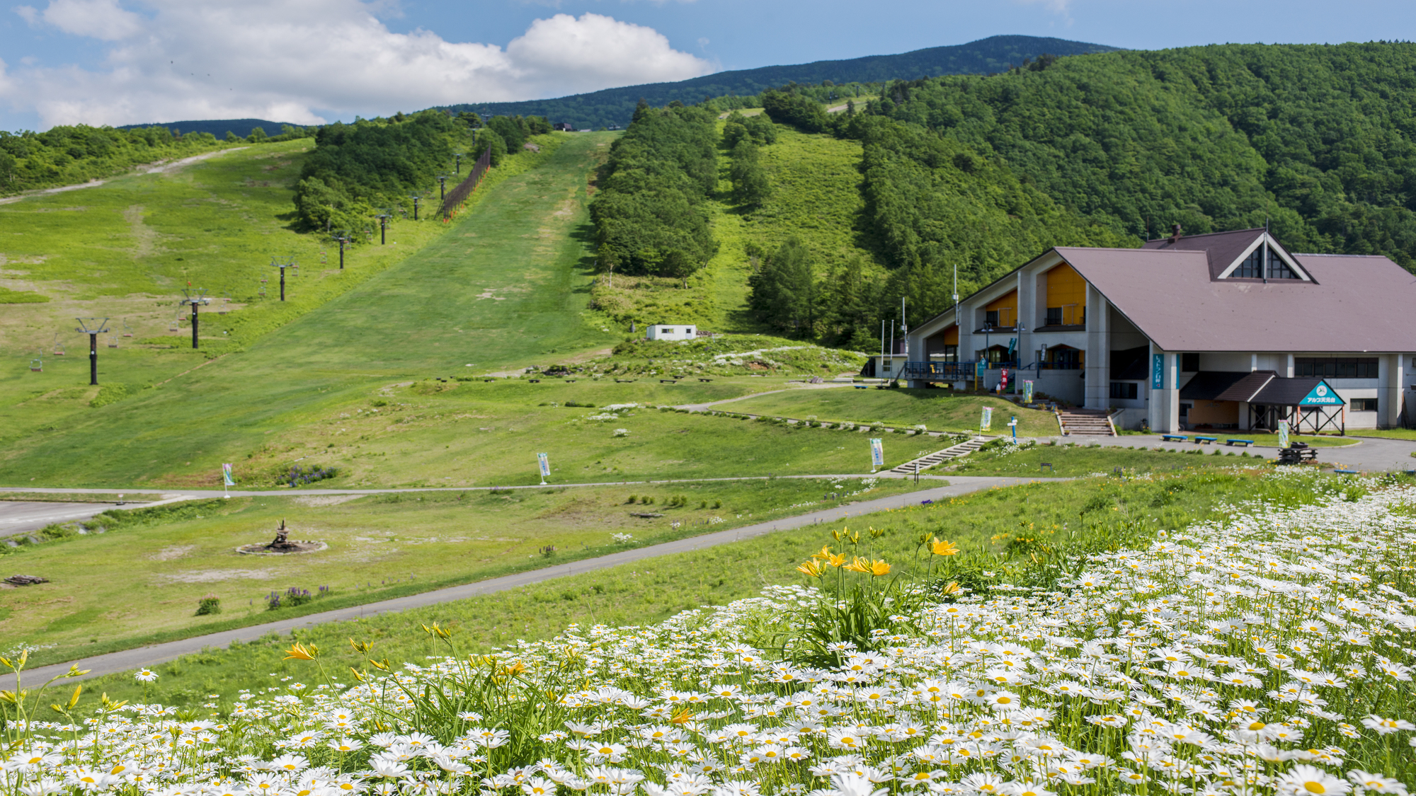 【天元台高原】絶景が広がる高原（車30分）