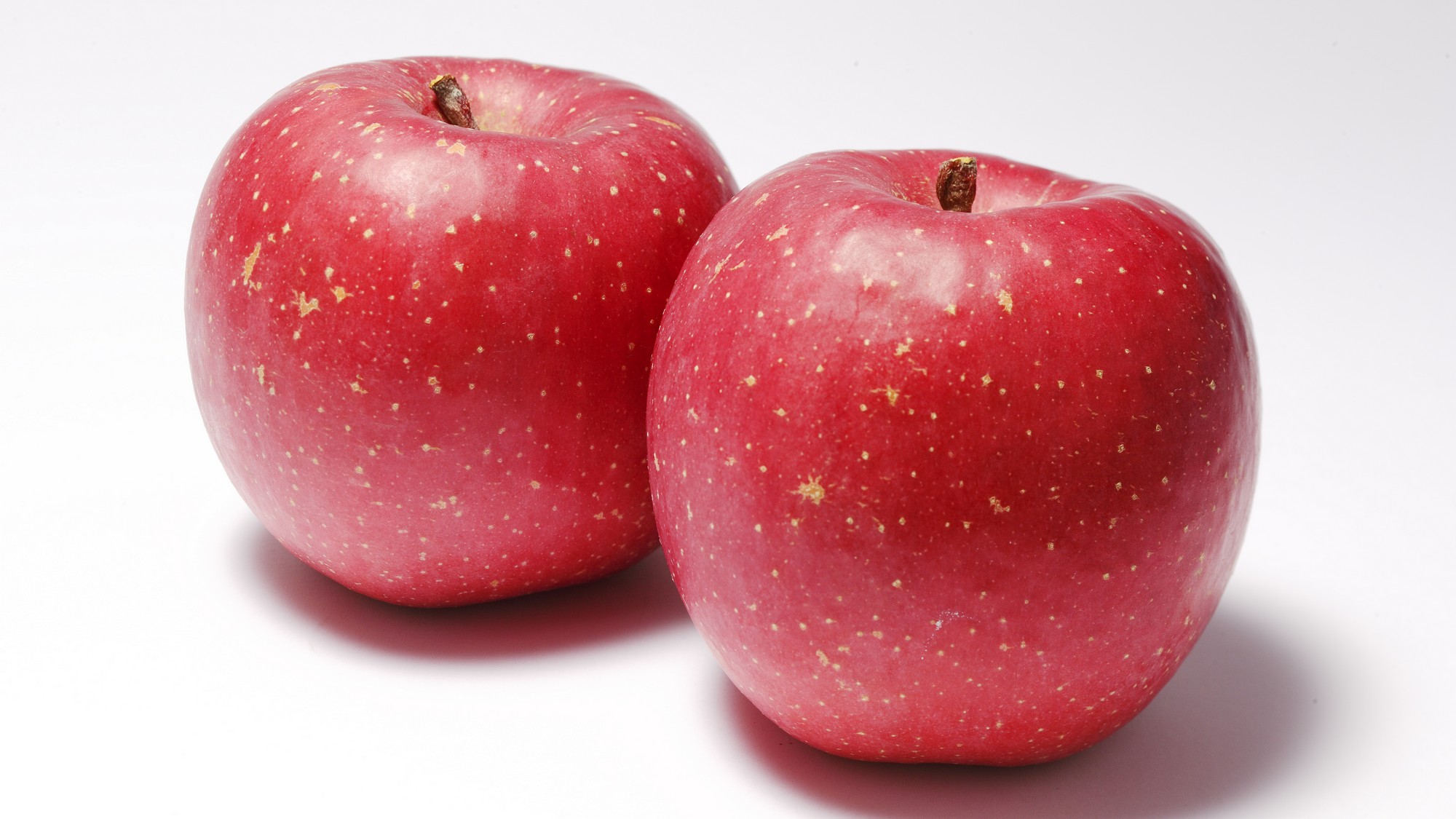 【館山りんご】米沢の名産りんご