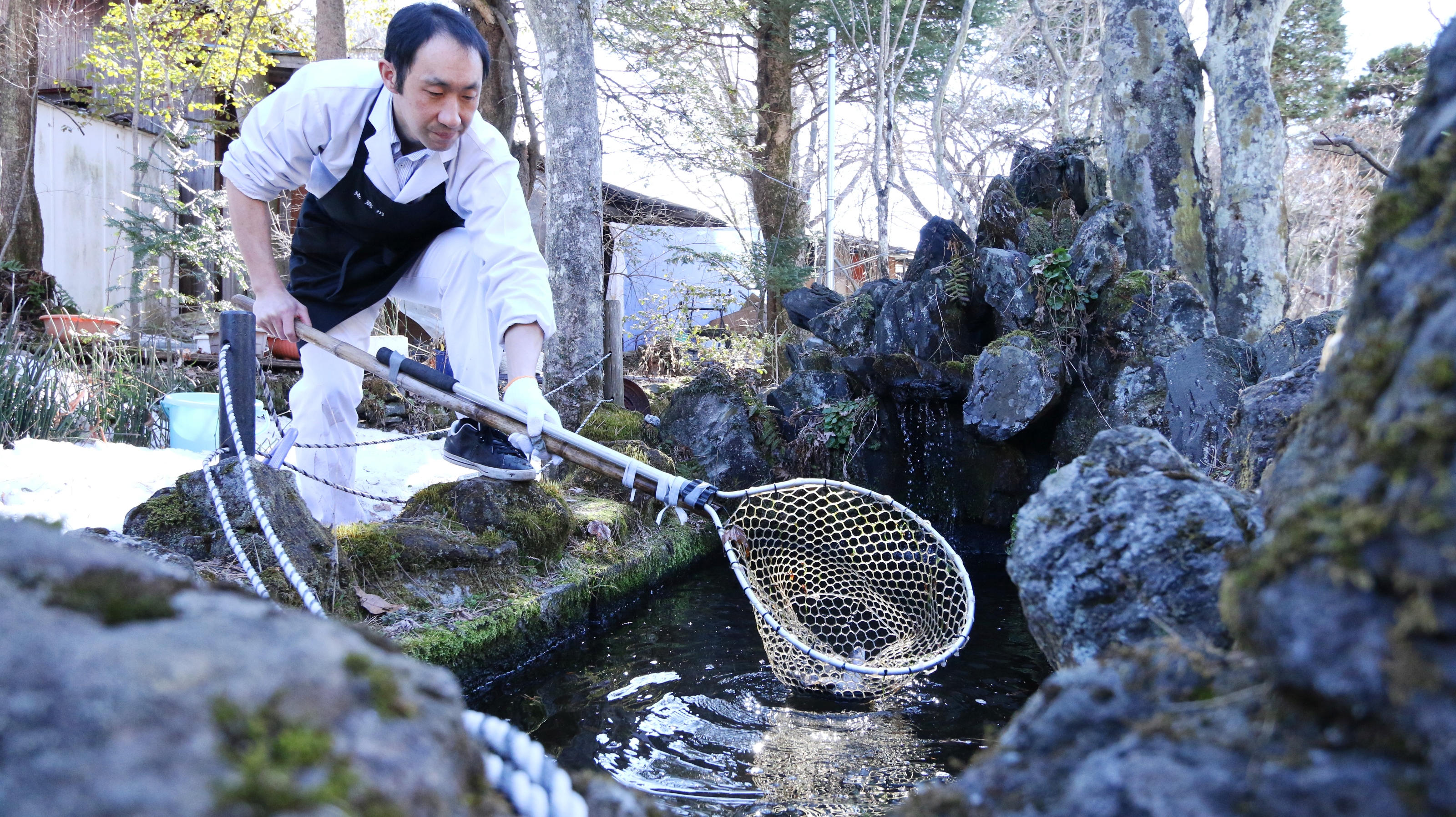 当館の敷地で捕った魚をそのまま料理として提供させていただいております！ 