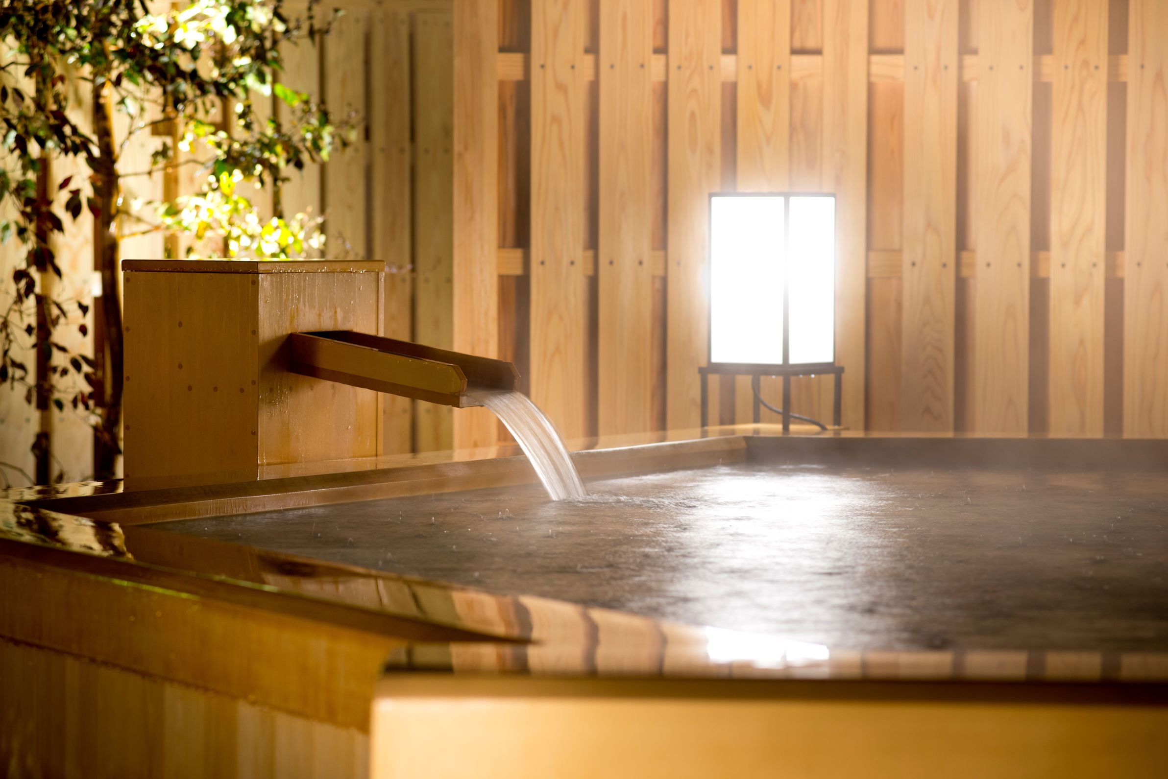 【1泊2食付】坐漁荘を愉しむフレンチプラン（送迎あり）