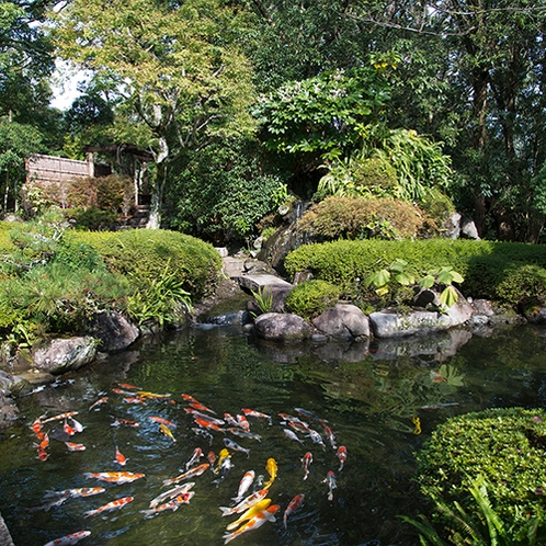 【庭園】庭園内の池には鯉がゆったり泳ぎます