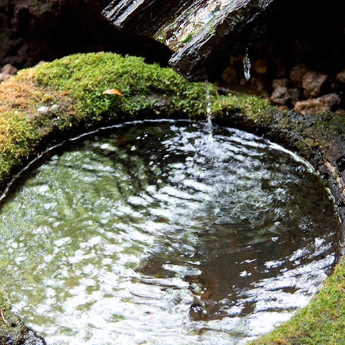 【庭園】清らかな水の音を奏でる手水鉢