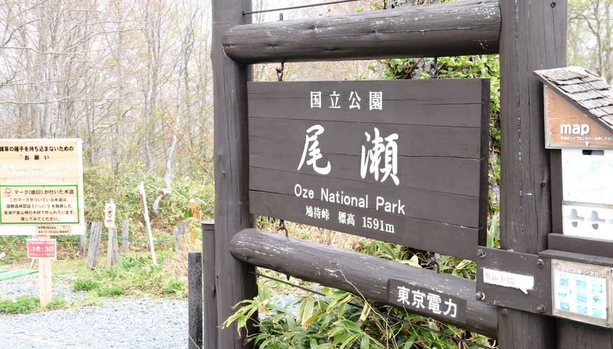 群馬、福島、新潟、栃木の4県にまたがる尾瀬国立公園。