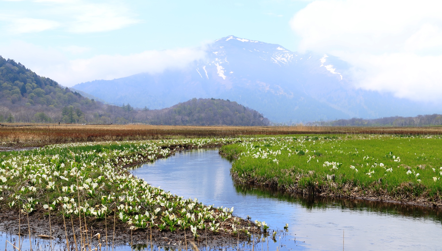 群馬、福島、新潟、栃木の4県にまたがる尾瀬国立公園。