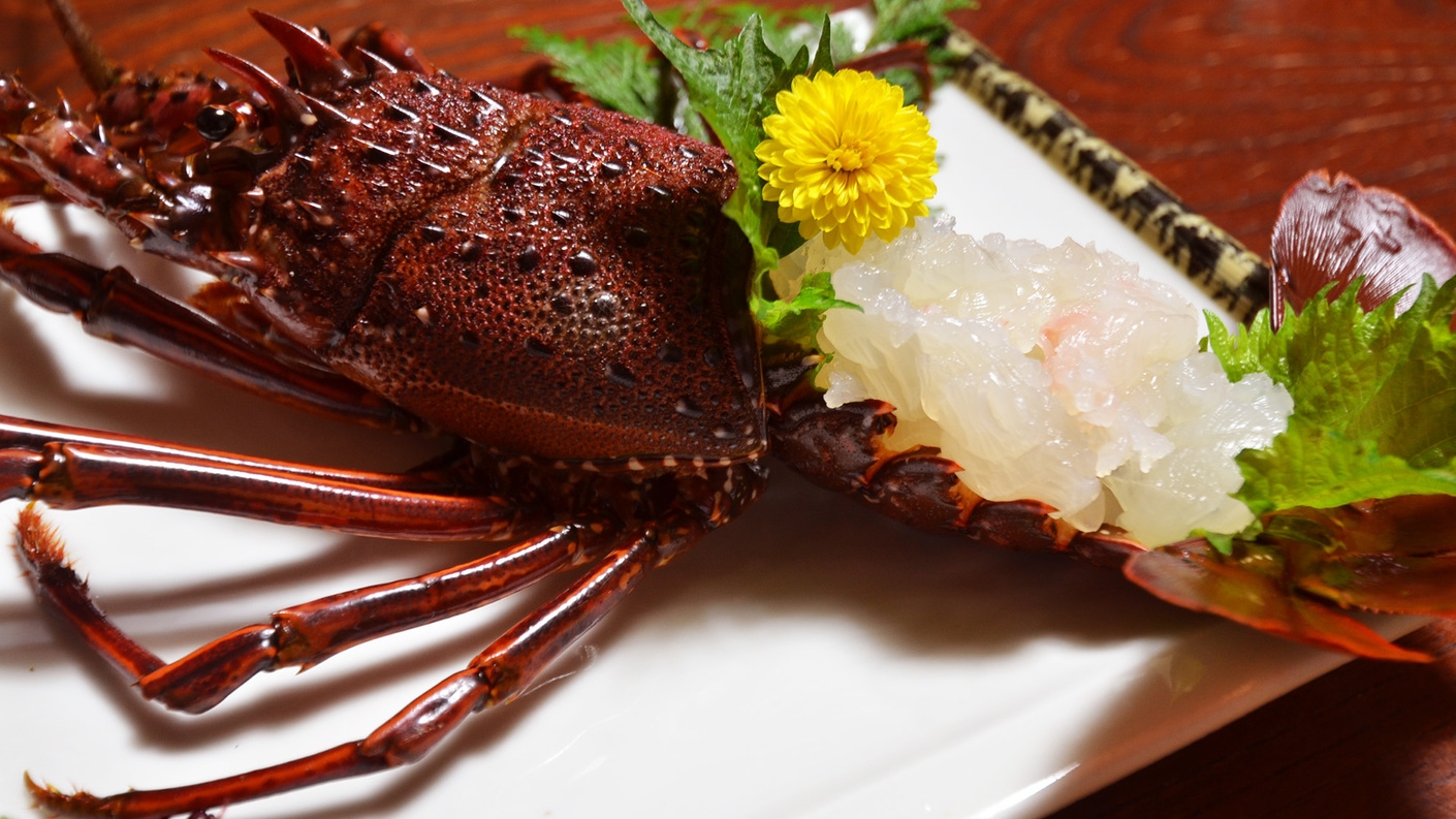 Ic2xc K5r5nghm Ic2xc K5r5nghm