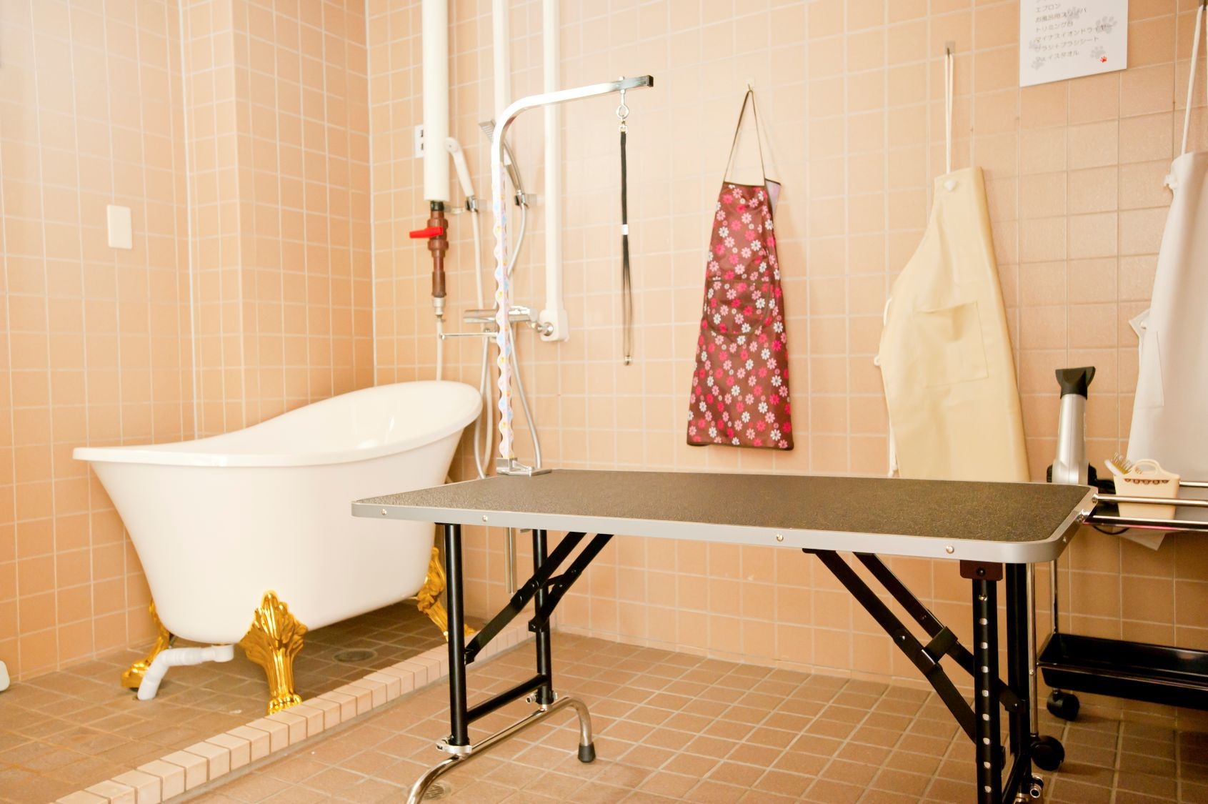 ペットと旅行！ペットハウス完備☆ペット専用温泉バスルームも♪特典付高原お散歩プラン