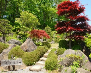 中庭の情緒ある日本庭園
