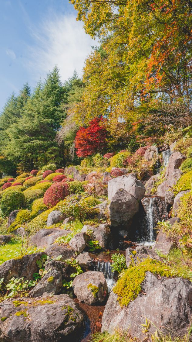 【紅葉の中庭】