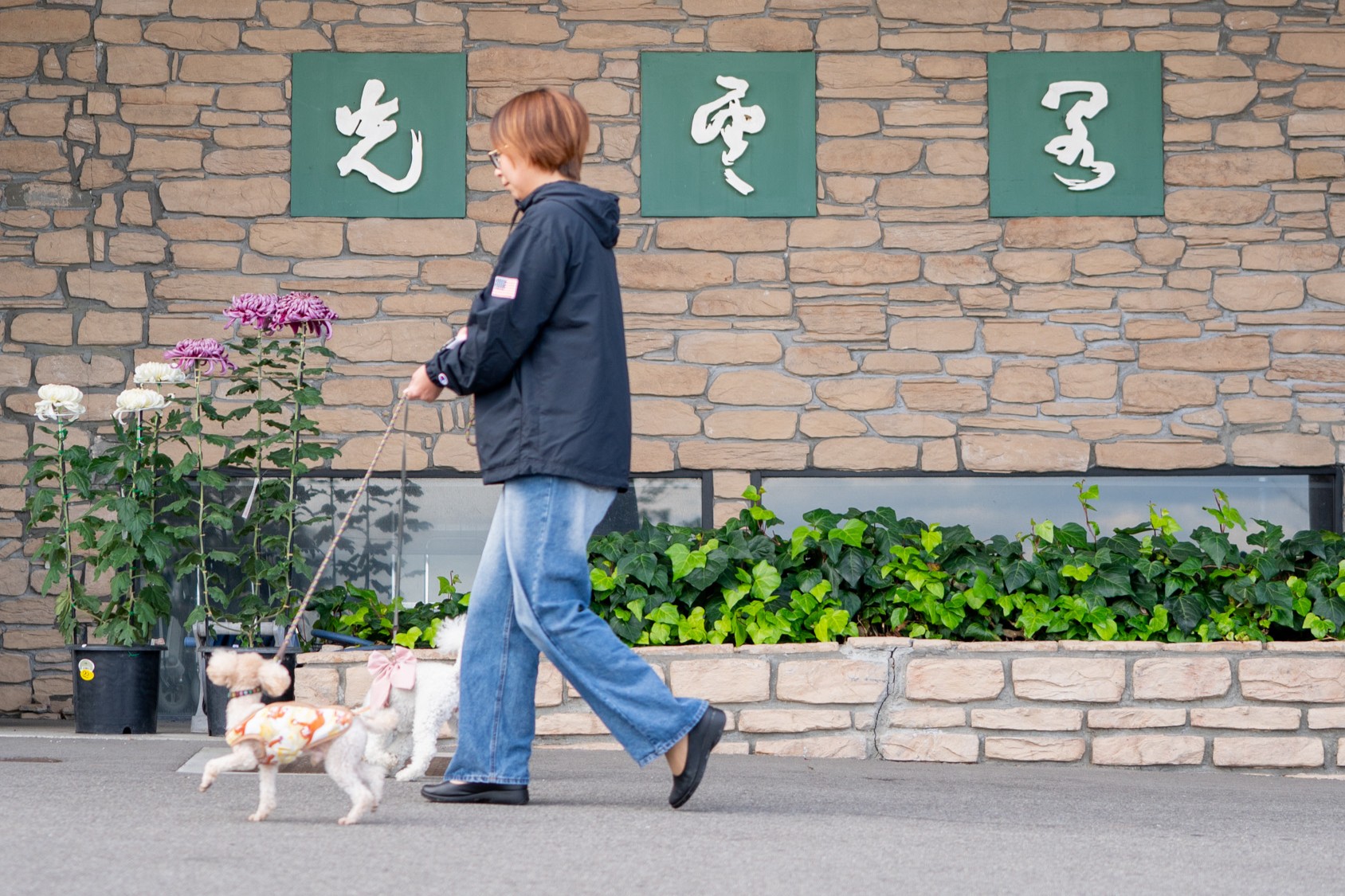 【大切なペットと一緒に旅行】